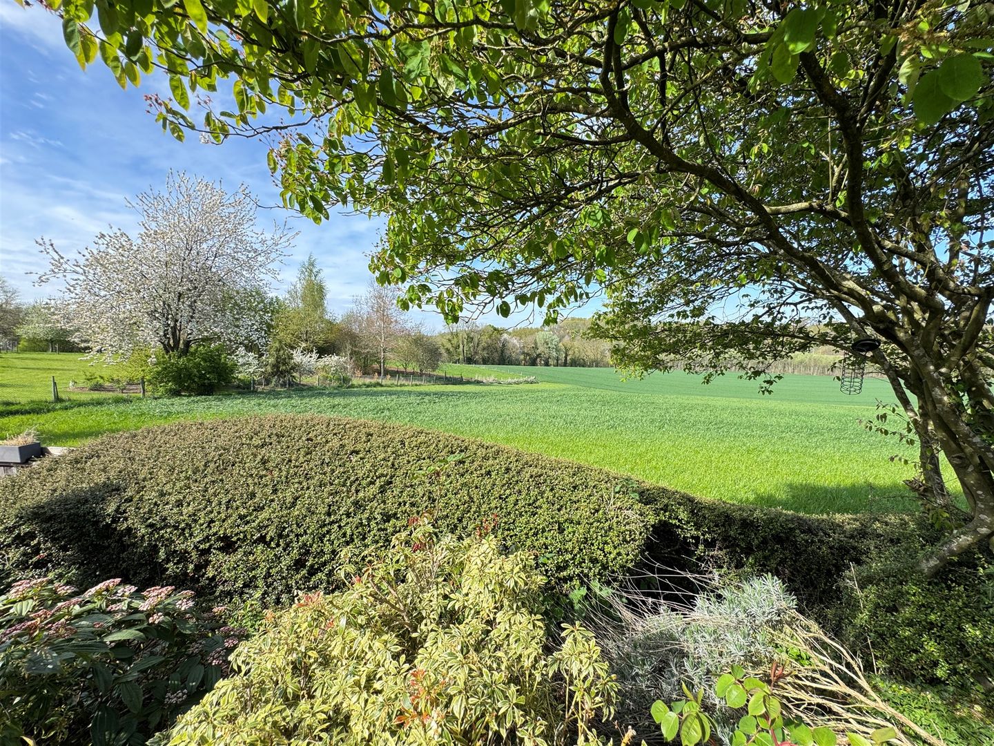 325m2 of usable space, superb view and swimming pool Photo 3