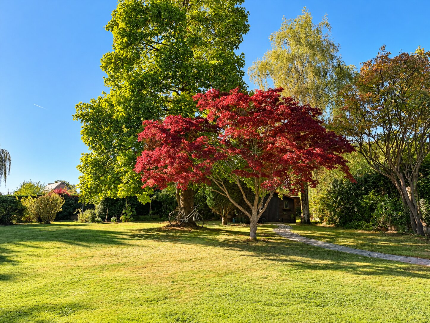 Une maison lumineuse avec un magnifique jardin Photo 13
